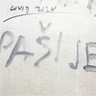 Covid - pašije
