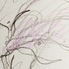 Beran a mořská okurka