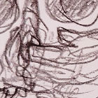 Lebka a mořská okurka