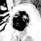 Machine Gun - JIN - Stín