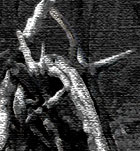 Brána do pekla -dětské hříště Kryvij Rih 5.4. 2025 9 mrtvých dětí, rusácká raketa trefila dětské hřiště