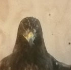 Prométheus