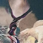 Propojení - zatracení